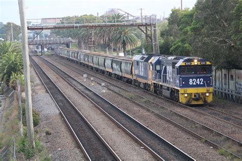 At Waratah 29 4 23 5422 Garry Holt Flickr