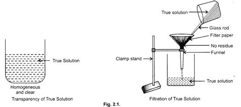 CBSE Class 9 Science Practical Skills – Solution, Colloids, Suspension ...