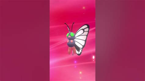 Shiny Metapod Butterfree Evolution Pokémon Sword And Shield Youtube