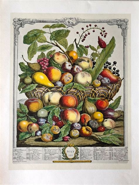 Robert Furber Twelve Months Of Fruits July Etching Print 1970 Penn