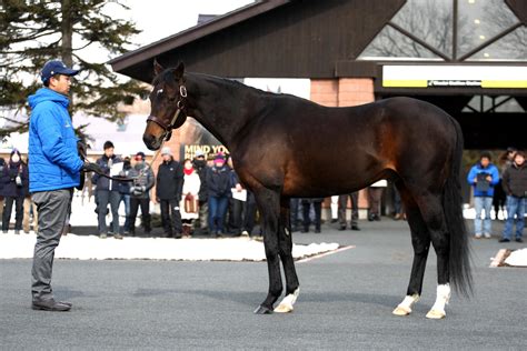 ディープインパクト産駒がjra歴代最多2750勝！最も勝っている騎手は？調教師は？ 競馬写真ニュース 日刊スポーツ