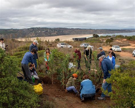 Gran Convocatoria en la Plantación de 24 Árboles Nativos a Través del