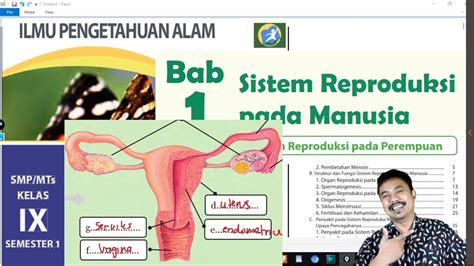 Ipa Kelas 9 Bab 1 Sistem Reproduksi Pada Perempuanmanusia Bse K13 Rev 2017 Youtube