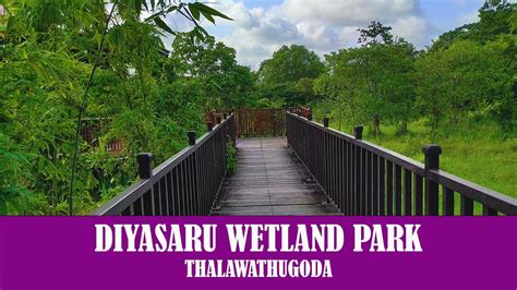 Exploring Diyasaru Park In Sri Jayawardenepura Kotte Sri Lanka Travel