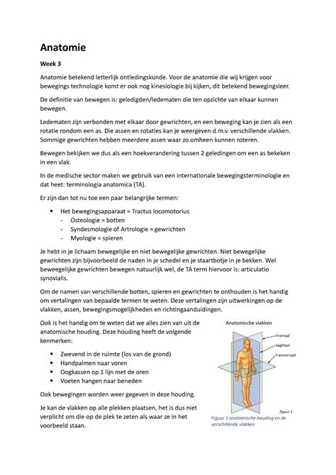 Anatomie Samenvatting Les En Anatomie Week Anatomie Betekend