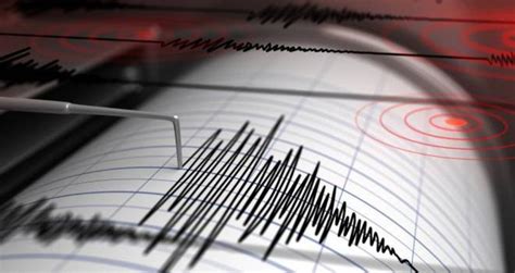 Terremoto A Napoli Scossa Di Magnitudo 3 Nella Notte