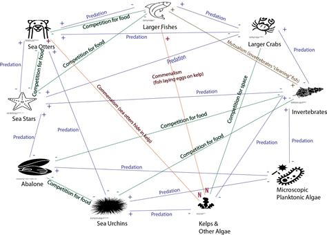 Species Interactions An Interactive Introduction To Organismal And