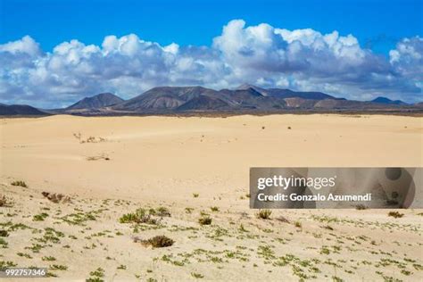 368 Corralejo National Park Stock Photos, High-Res Pictures, and Images - Getty Images