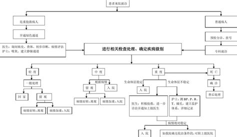 医院门急诊服务流程图word文档在线阅读与下载免费文档