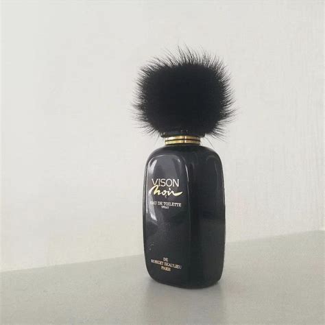 Vison Noir Robert Beaulieu Parfum Een Geur Voor Dames 1991