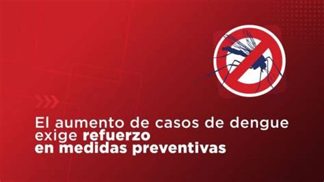 Noticia Dengue Recomendaciones Para Prevenir Enfermedades