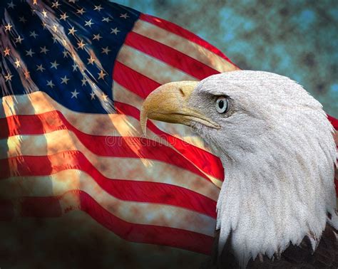 Flag With Bald Eagle Stock Photography - Image: 23162732