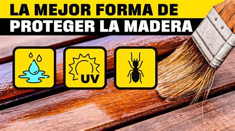 Productos Para Proteger La Madera Lo Mejor Youtube