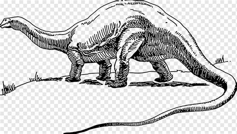 Apatosaurus Brontosaurus Tyrannosaurus Estamos De Vuelta La Historia