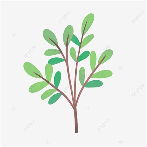 Hand Drawn Beautiful Green Branches Drawing Nature Cute PNG