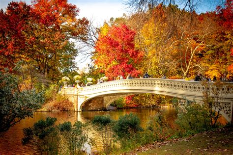 Central Park Fall