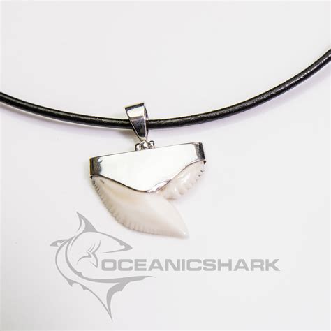 Tiger Shark Tooth Necklace - Oceanicshark