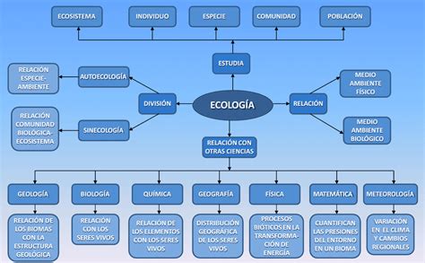 Arriba 65 Imagen Ecologia Humana Mapa Mental Abzlocal Mx