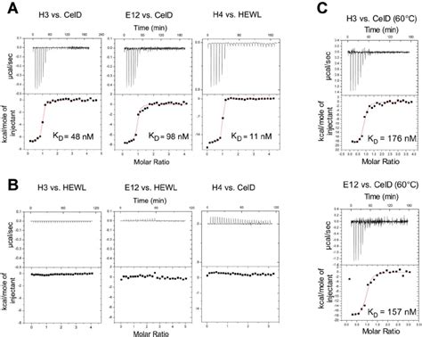 ITC analysis of anti-glycosidase binders. ( A ) ITC titrations at 25 u ... 