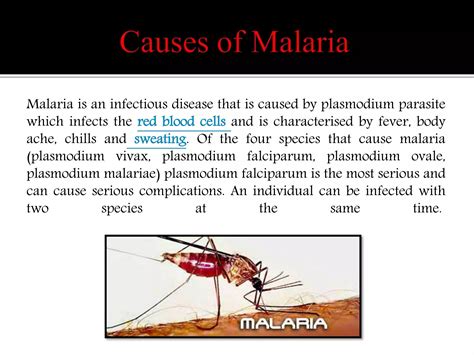 Malaria Causes Symptoms Complications Treatment And Prevention Ppt