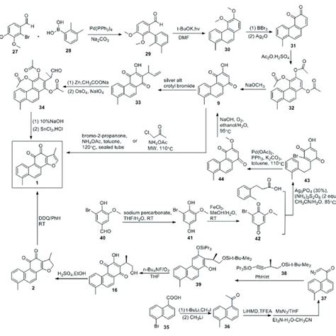 Benzene Or Naphthalene Derivatives Addition Route Download Scientific Diagram