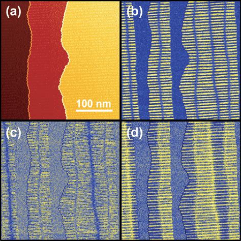 Spin Polarized STM Of The Double Layer Of Fe On W 110 Imaged With A