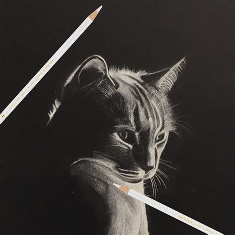 White Pencil Drawing On Black Paper