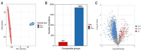 Ijms Free Full Text Hypothetical Protein Vdag Is Required For