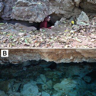 Whip Cave. (A) terrestrial entrance; (B) internal view of the cave ...