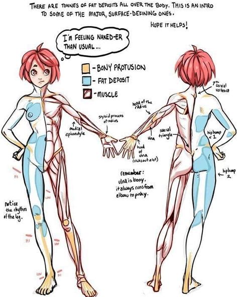 Pin De Andre Cito Em 1 Referência Anatomia Poses References Lições