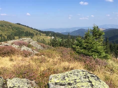 Feldberg 1493m Aktuelle Verhältnisse vom 03 08 2018 auf der Route