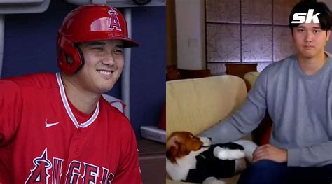 MLB fans in awe of Shohei Ohtani's dog as a pet's high-five steals the ...