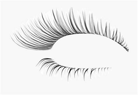 Download High Quality eyelashes clipart realistic Transparent PNG ...