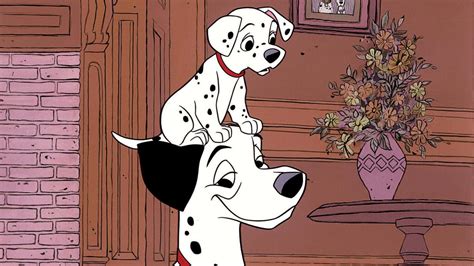 Dalmatians Backgrounds Wallpapers