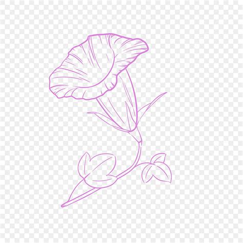 Trumpet Flowers Png Image Line Drawing Trumpet Flower Flower Drawing