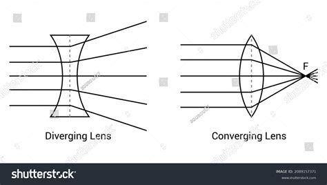 Converging Diverging Lenses Ray Diagrams Stock Vector (Royalty Free ...