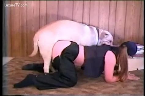 Chubby Wench Bows Over To Take Dogs Hard Dick