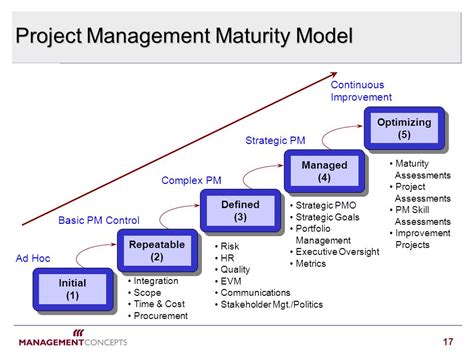 Cmmi Maturity Model Pmo Lasopaelectronics