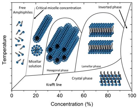 trends  lyotropic liquid crystals