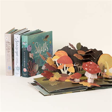 Uncommon Goods Explore The Four Seasons Pop Up Books