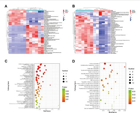 Figure From Ginsenoside Rc Ameliorated Atherosclerosis Via Regulating