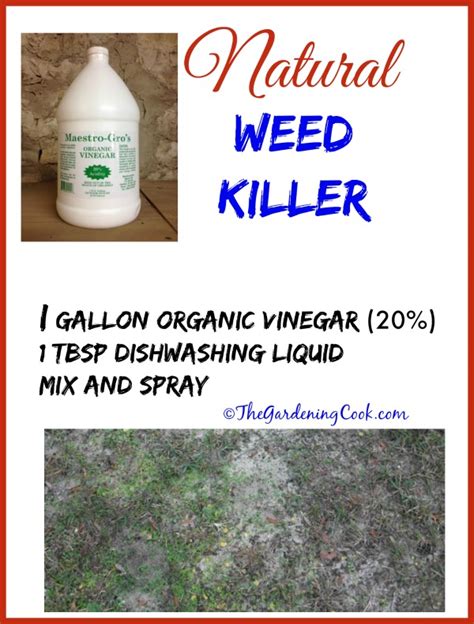 Vinegar Weed Killer - Killing Weeds The Organic Way