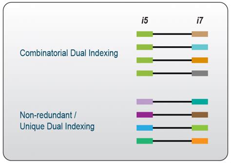 Indexing Solutions For RNA Sequencing UDI CDI Lexogen