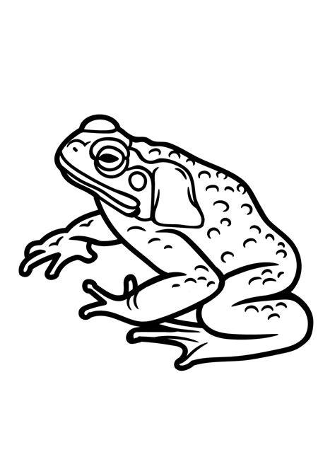 21 Toad Coloring Pages - ColoringPagesOnly.com