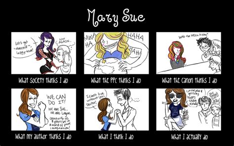 Mary Sue Meme by LilyWinterwood on DeviantArt