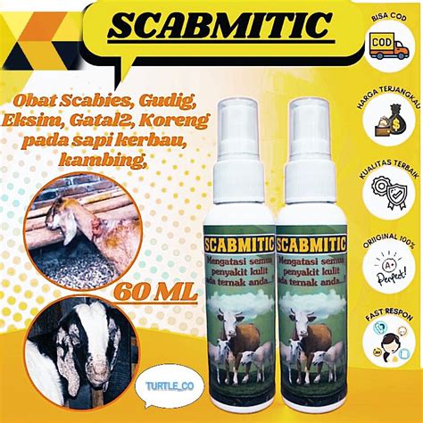 Jual Obat Scabies Gudik Ternak Kambing Shopee Indonesia