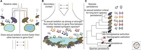 How Important Is Sexual Isolation To Speciation