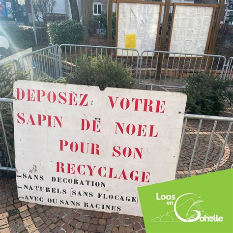 Recyclez Votre Sapin Naturel Ville De Loos En Gohelle