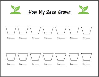 Let's Celebrate Spring! SEEDS | Homeschool science, Plant growth chart, Plant science