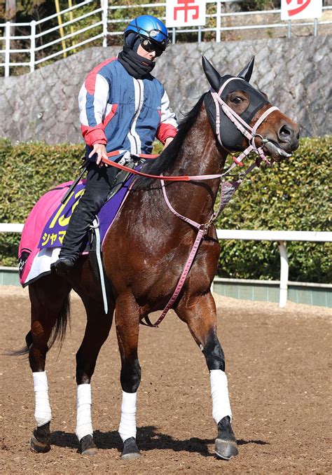 【かしわ記念】シャマルが逃げ切って交流g1初制覇 デビュー15年目の川須栄彦騎手も初のビッグタイトル Umatoku 馬トク